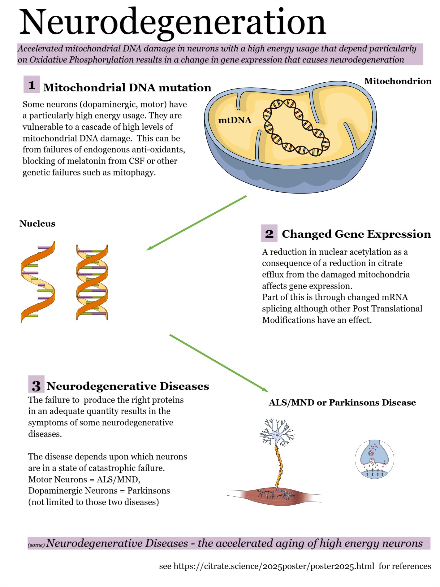 Infographic about neurodegeneration